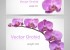 高品位！胡蝶蘭など華やかなお花の無料ベクターイラスト素材2set（EPS）