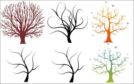 6-beautiful-trees-vector-graphics-01-thumb-450x281-3204