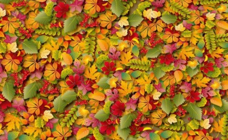 Autumn-Leaves-thumb1-450x278