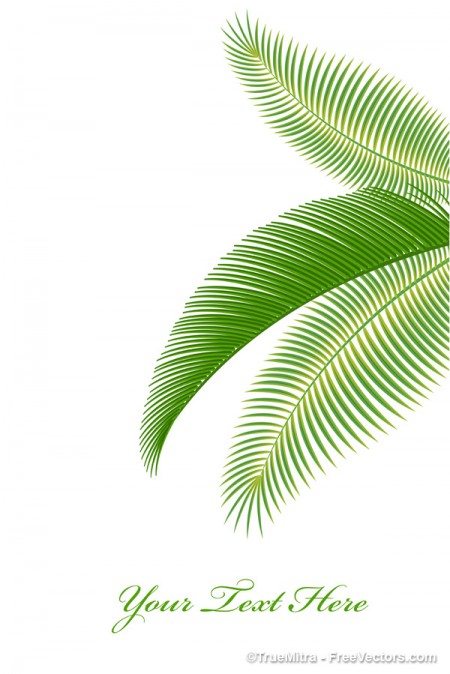Palm-Tree-Leaves-Background-450x674