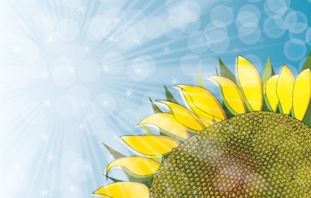Sky-Sunflower-Background1-450x287