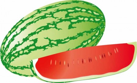 watermelon-8_vectormadness-450x272